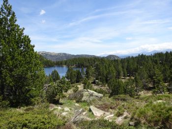Blick zur&uuml;ck auf den Stausee